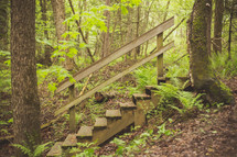 wooden steps in a forest 