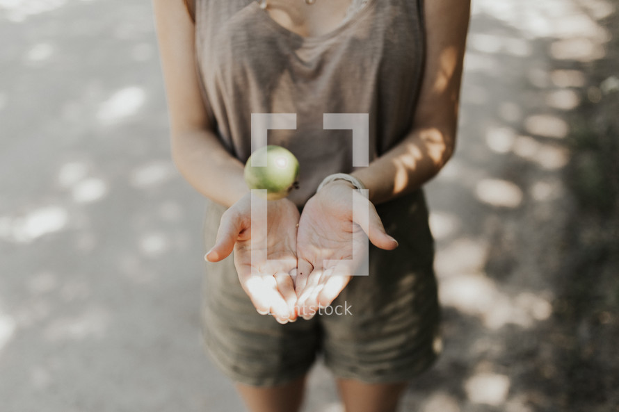 cupped hands catching an apple 