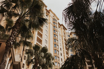 palm trees and hotel 