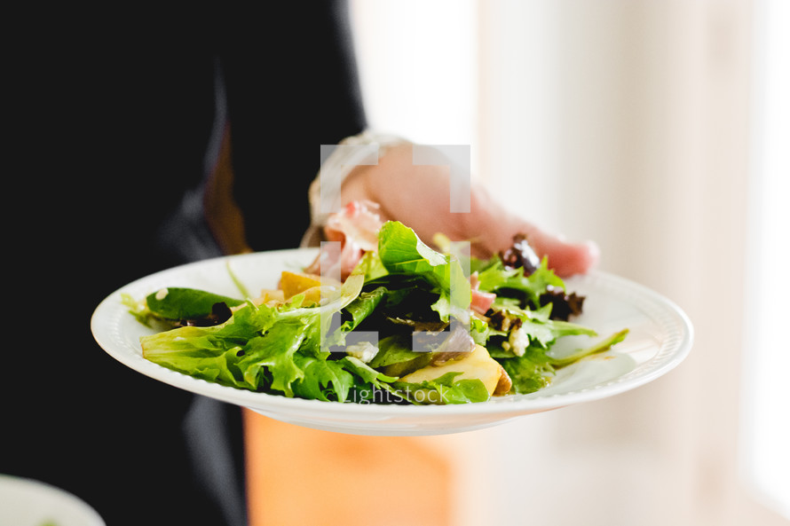 plate of salad 