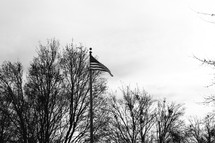 An American flag on a flag pole. 