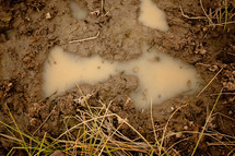 muddy footprint 