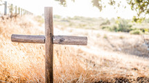 wooden cross in tall brown grasses