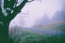 fog over a gravel road 