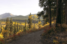 Path through fall landscape