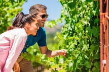 man and woman in a vineyard 