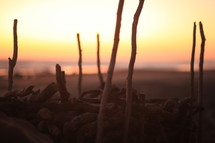 sticks on a beach 