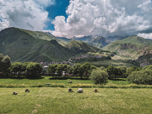 Green trees and village in the mountains