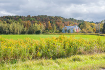 An old barn in a field with colorful trees in the background.