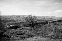 black and white landscape 