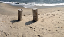 stumps on a beach 