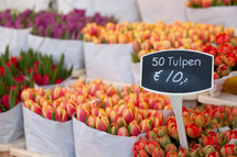 tulips in a market 
