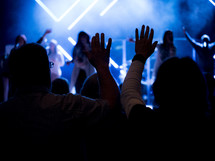 raised hands in an audience at a concert 