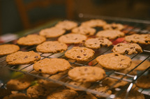 baking cookies 