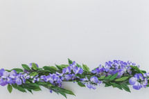 purple flowers border 