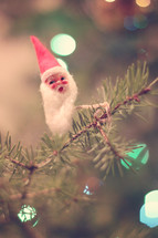 Santa ornament on a limb of pine needles.