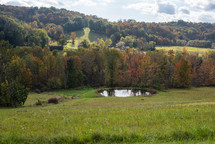 A rural setting in autumn with trees and a field and pond.