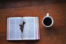 fall leaves on an open Bible and mug of hot tea 