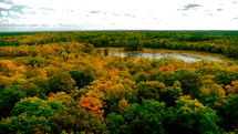 Aerial view of fall foliage trees and a lake,