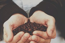 cupped hands full of coffee beans