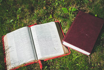 Bible in the grass