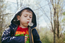 A boy blowing a dandelion 