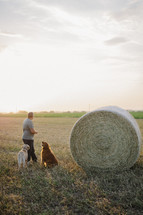 a man with his dogs in a field next to a hay bale 
