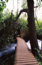 wood bridge over rushing water 