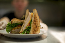 a club sandwich on a plate 