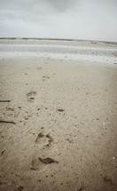 footprints in the sand on a beach 