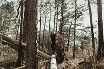 a woman balancing on a fallen tree