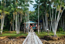 house and dock along the Amazon River 