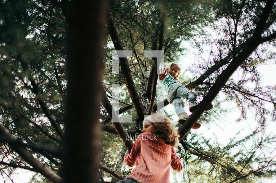 girls climbing a tree