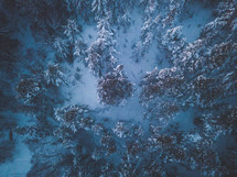 aerial view over a snow covered evergreen forest 