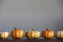 row of pumpkins against a gray background 
