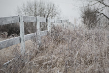 frost on tall brown grass and fence line 