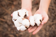 cupped hands with cotton 