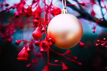 gold ornament on red branches 