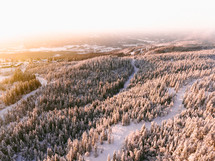 aerial view over a snow covered pine forest 