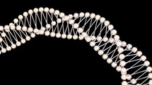 Biology molecules structure, 3d rendering.
