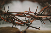 crown of thorns over a Bible 
