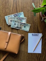 budgeted cash in money clips 