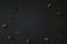 juniper pine and pine cones on black 