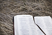 A bible lying on hay opened to the book of Psalms