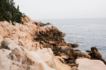 rugged cliffs along a shore 