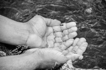 hands in clean water