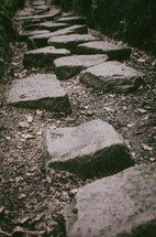 a path of stepping stones  through a rocky crevice