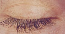 Extreme macro shot of a brown male human eye