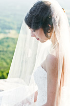 Bride under a veil 
