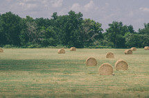 Round hay bales in a field.